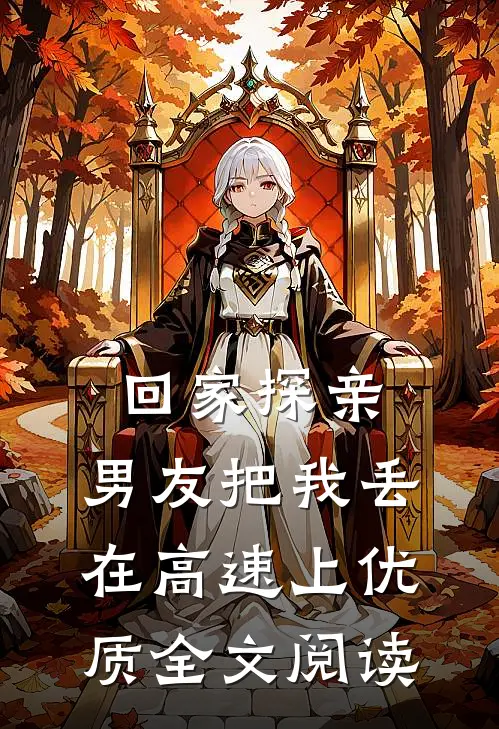 回家探亲，男友把我丢在高速上优质全文阅读