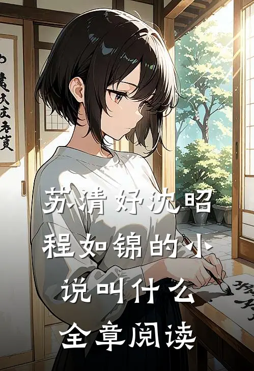 苏清妤沈昭程如锦的小说叫什么全章阅读