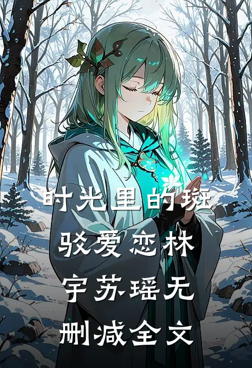 时光里的斑驳爱恋林宇苏瑶无删减全文