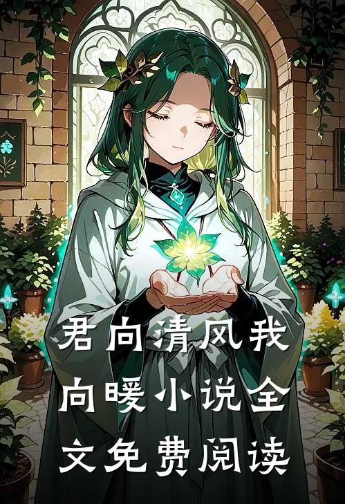 君向清风我向暖小说全文免费阅读
