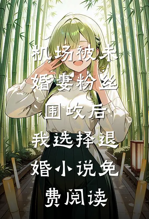 机场被未婚妻粉丝围攻后，我选择退婚小说免费阅读