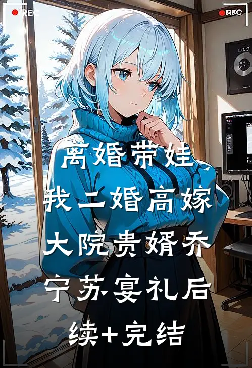 离婚带娃，我二婚高嫁大院贵婿乔宁苏宴礼后续+完结
