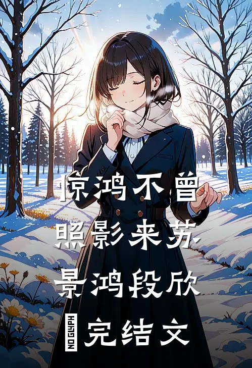 惊鸿不曾照影来苏景鸿段欣玥完结文