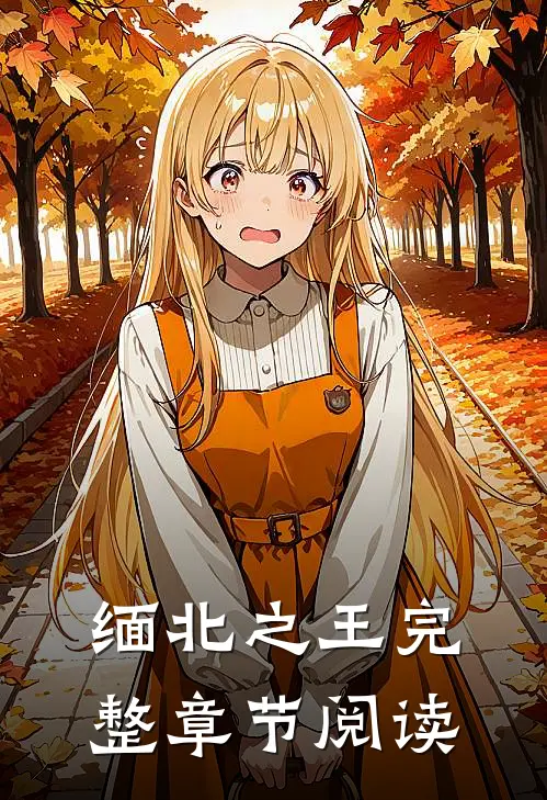 缅北之王完整章节阅读