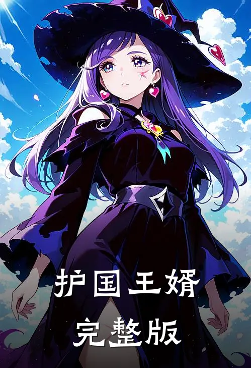 护国王婿完整版
