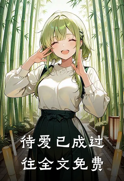 待爱已成过往全文免费