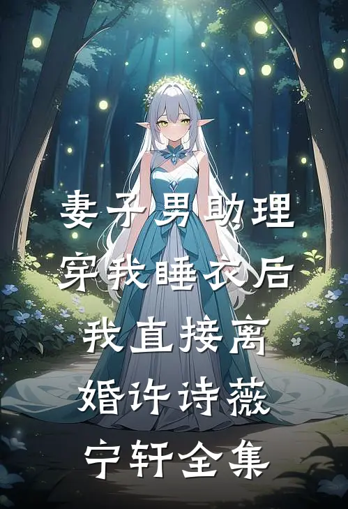妻子男助理穿我睡衣后，我直接离婚许诗薇宁轩全集