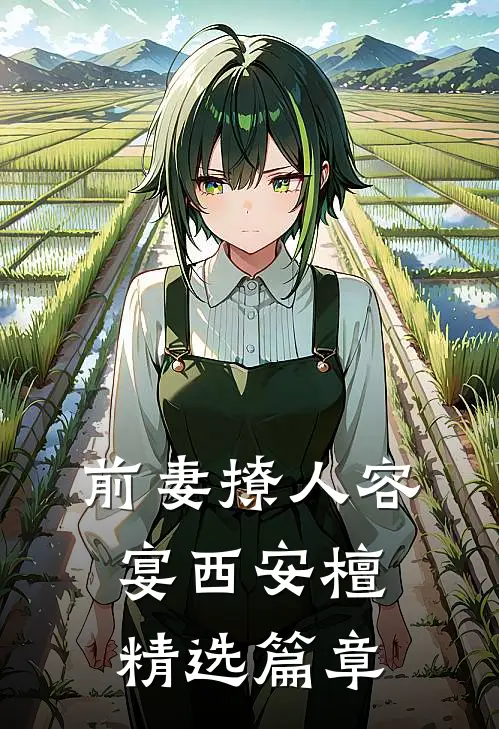 前妻撩人容宴西安檀精选篇章