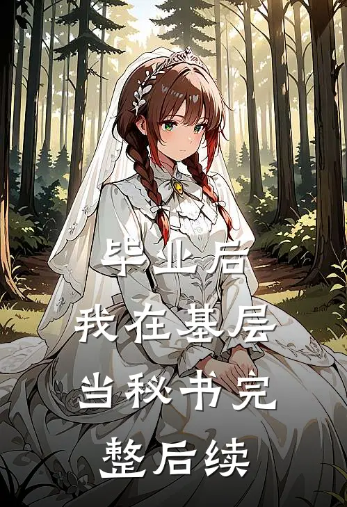 毕业后，我在基层当秘书完整后续