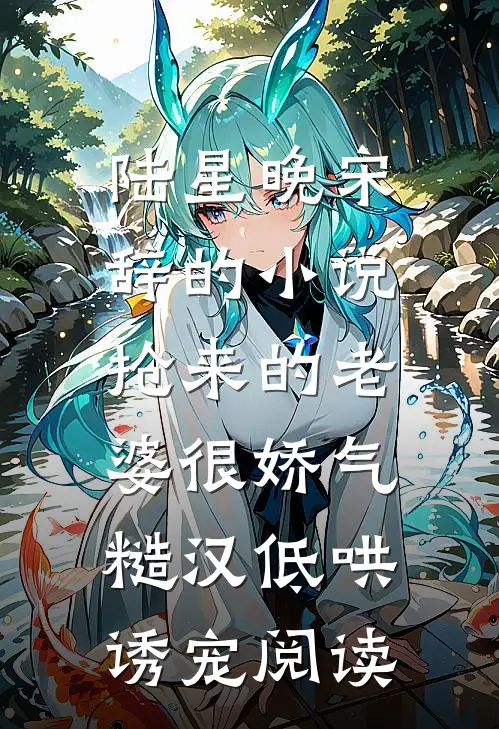 陆星晚宋辞的小说抢来的老婆很娇气，糙汉低哄诱宠阅读