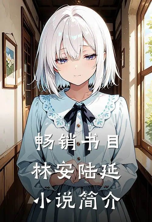 畅销书目林安陆延小说简介