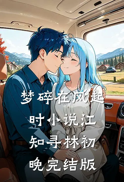 梦碎在风起时小说江知寻林初晚完结版
