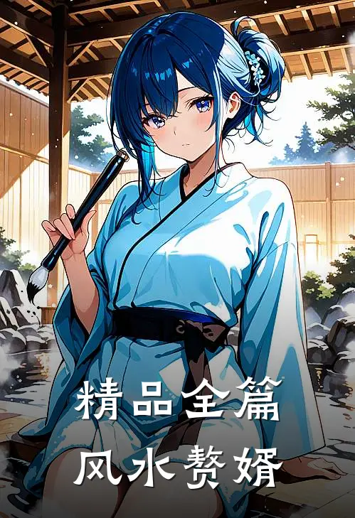 精品全篇风水赘婿