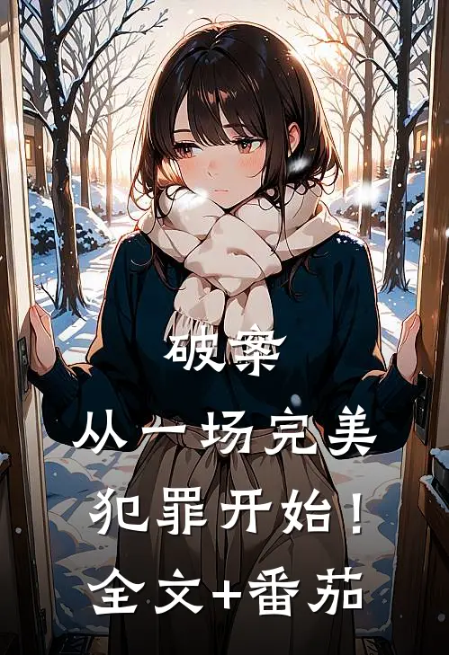 破案：从一场完美犯罪开始！全文+番茄
