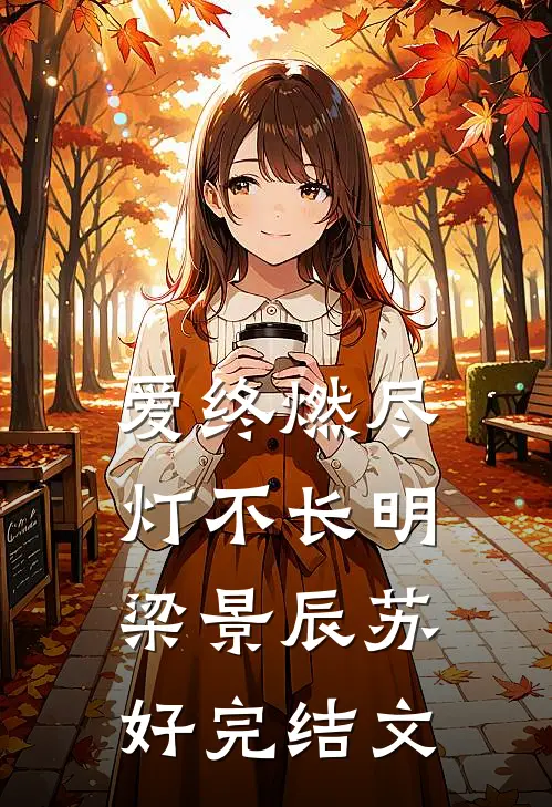 爱终燃尽，灯不长明梁景辰苏好完结文