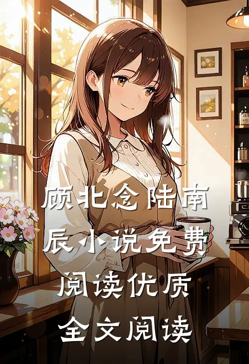顾北念陆南辰小说免费阅读优质全文阅读