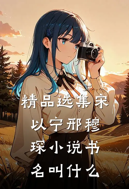 精品选集宋以宁邢穆琛小说书名叫什么