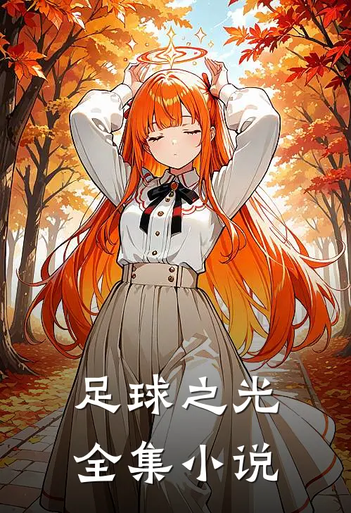 足球之光全集小说