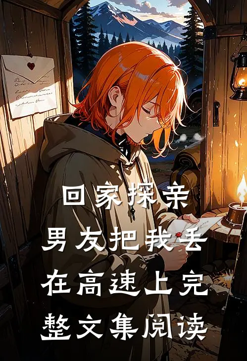 回家探亲，男友把我丢在高速上完整文集阅读