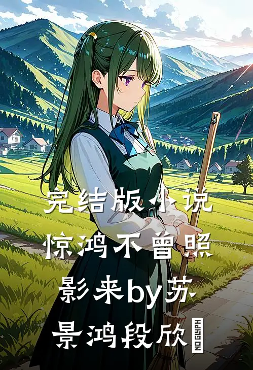 完结版小说惊鸿不曾照影来by苏景鸿段欣玥
