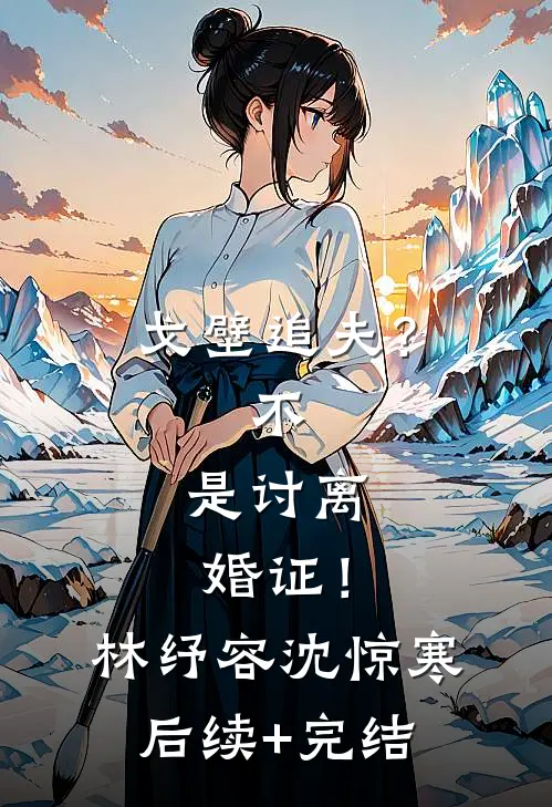 戈壁追夫？不，是讨离婚证！林纾容沈惊寒后续+完结
