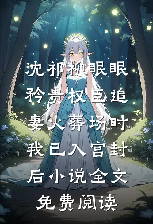 沈祁柳眠眠矜贵权臣追妻火葬场时，我已入宫封后小说全文免费阅读