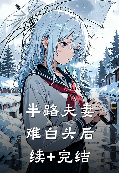 半路夫妻难白头后续+完结