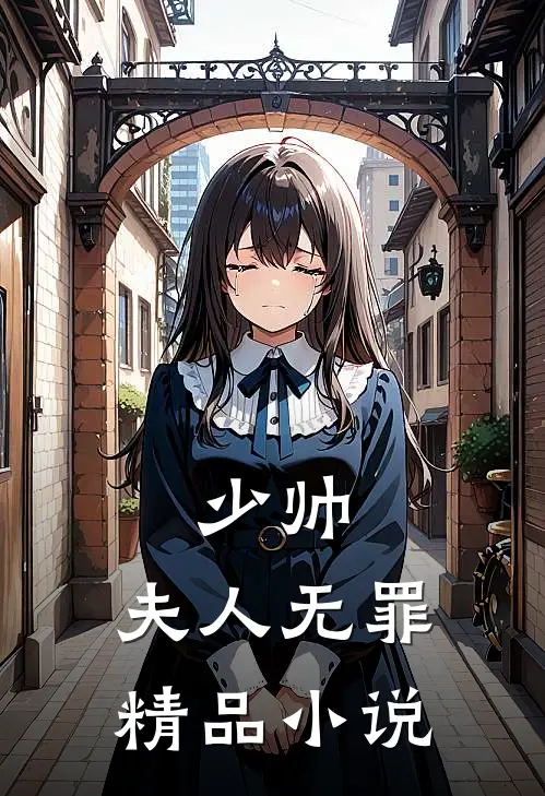 少帅，夫人无罪精品小说