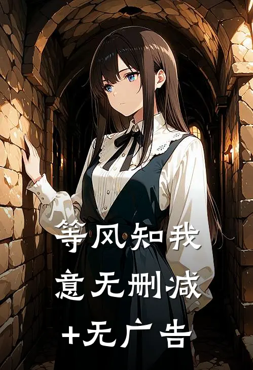 等风知我意无删减+无广告