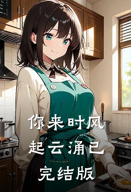 你来时风起云涌已完结版