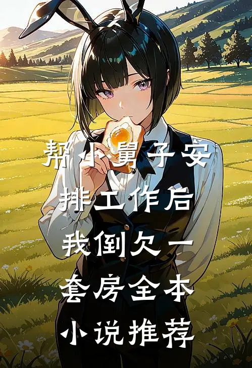 帮小舅子安排工作后，我倒欠一套房全本小说推荐