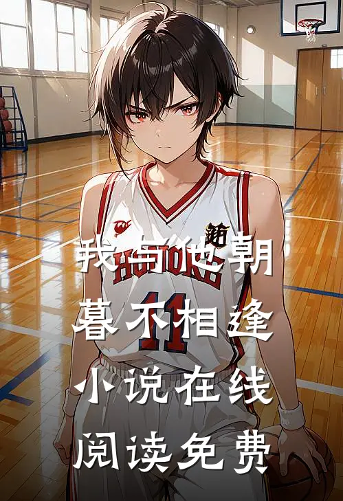 我与他朝暮不相逢小说在线阅读免费