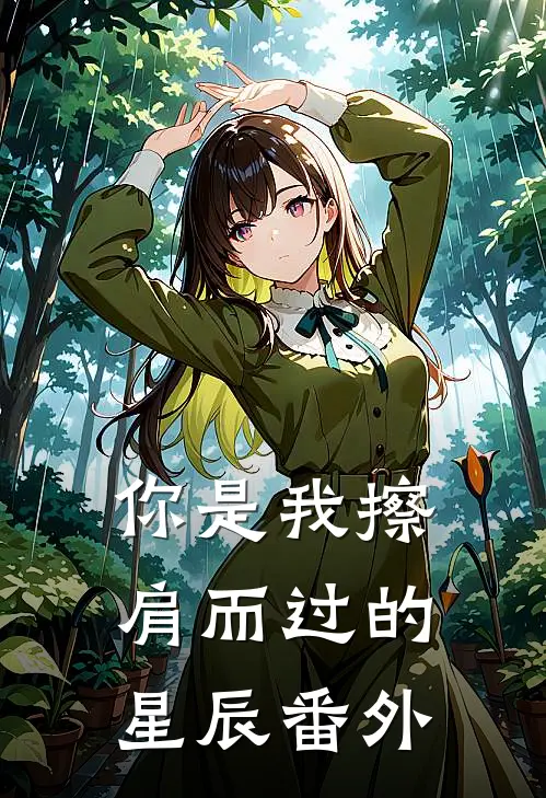 你是我擦肩而过的星辰番外