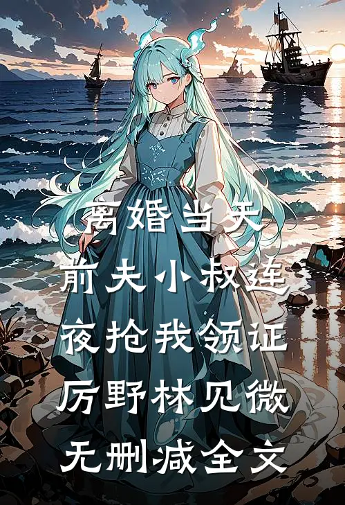 离婚当天，前夫小叔连夜抢我领证厉野林见微无删减全文