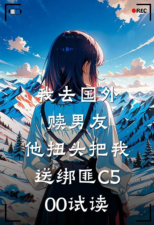 我去国外赎男友，他扭头把我送绑匪C500试读