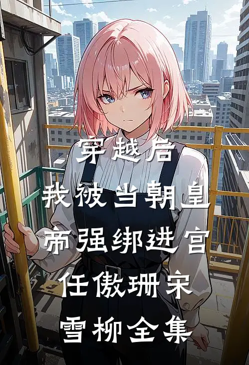 穿越后，我被当朝皇帝强绑进宫任傲珊宋雪柳全集