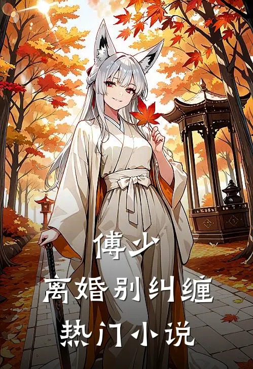 傅少，离婚别纠缠热门小说