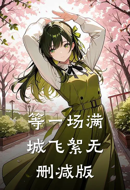 等一场满城飞絮无删减版