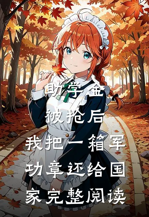 助学金被抢后，我把一箱军功章还给国家完整阅读