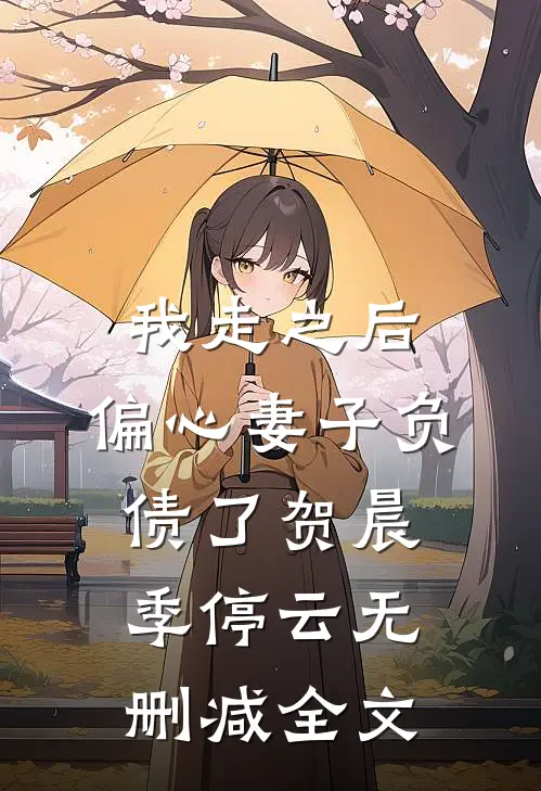 我走之后，偏心妻子负债了贺晨季停云无删减全文