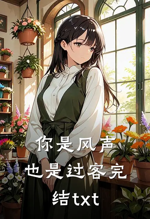 你是风声，也是过客完结txt