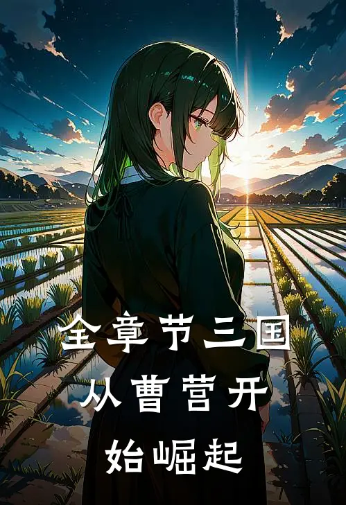 全章节三国：从曹营开始崛起