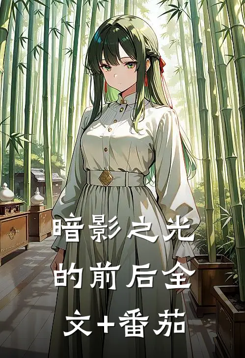 暗影之光的前后全文+番茄
