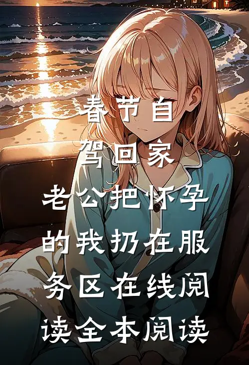春节自驾回家，老公把怀孕的我扔在服务区在线阅读全本阅读