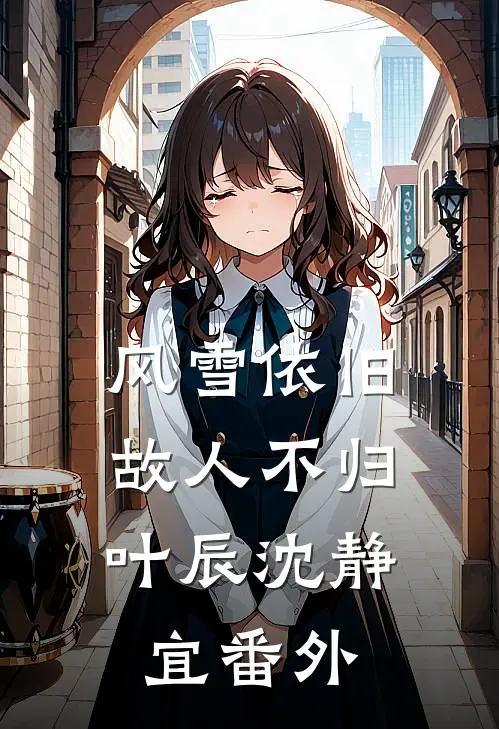 风雪依旧，故人不归叶辰沈静宜番外