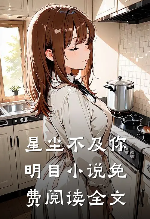 星尘不及你明目小说免费阅读全文