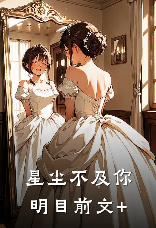 星尘不及你明目前文+