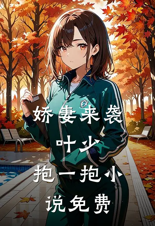 娇妻来袭：叶少，抱一抱小说免费