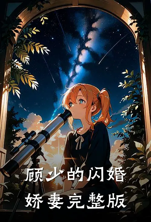 顾少的闪婚娇妻完整版