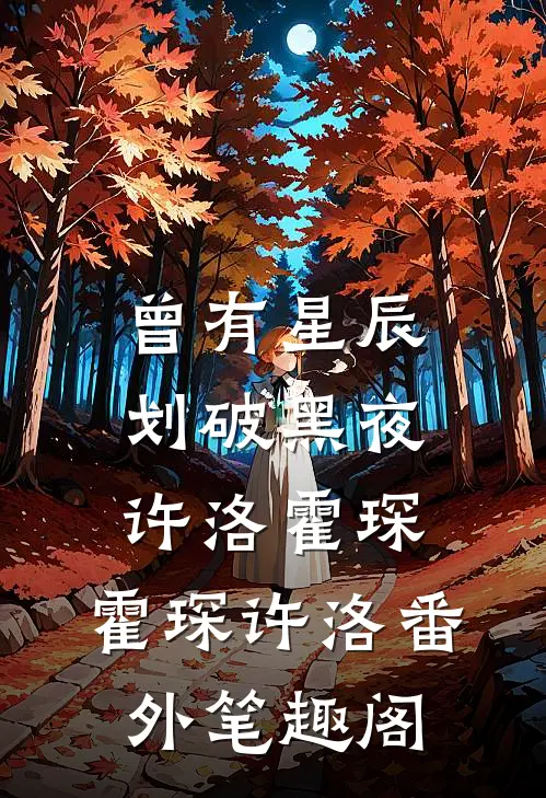 曾有星辰划破黑夜,许洛霍琛：霍琛许洛番外笔趣阁